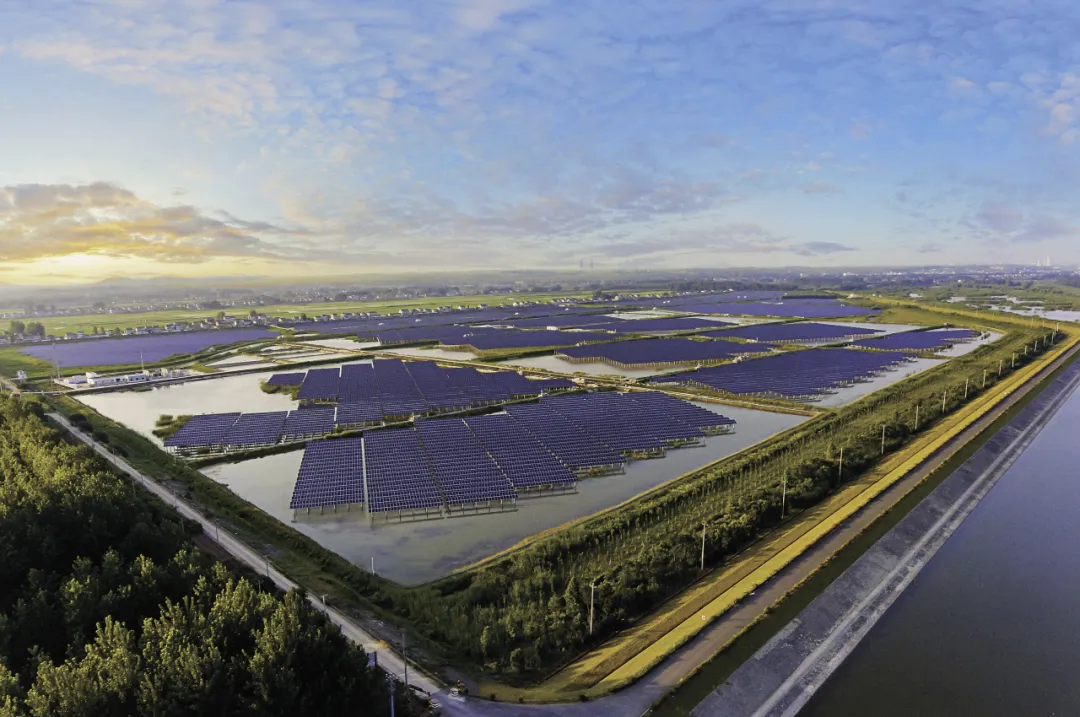 e2d929be98b4f60e4705b095da4b9ee4.png e2d929be98b4f60e4705b095da4b9ee4.png