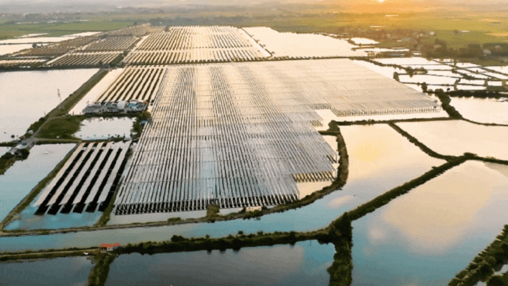 65bbbf73c6179c405a050f8a82752c24.jpg 65bbbf73c6179c405a050f8a82752c24.jpg