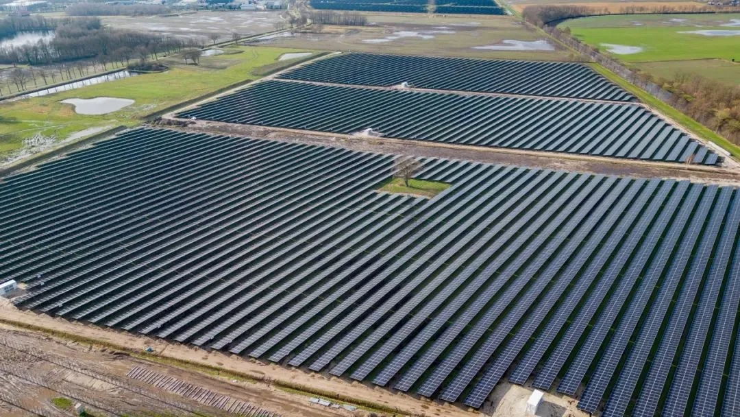 2896a59110eee9a9cf273764daa2f948.jpg 2896a59110eee9a9cf273764daa2f948.jpg