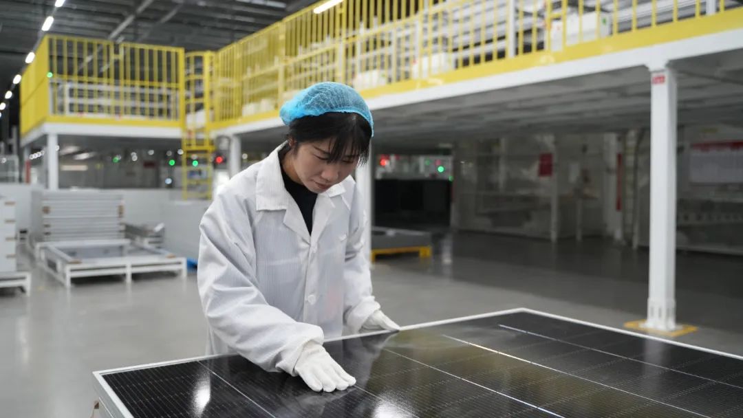 ba1cc541bfda76aa1c637b7e88a6dfde.jpg ba1cc541bfda76aa1c637b7e88a6dfde.jpg