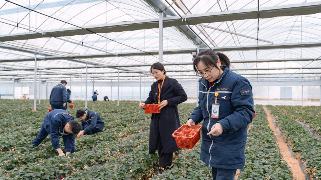 e99a524d7821dfa24a13b9aaea21e1ce.jpg e99a524d7821dfa24a13b9aaea21e1ce.jpg