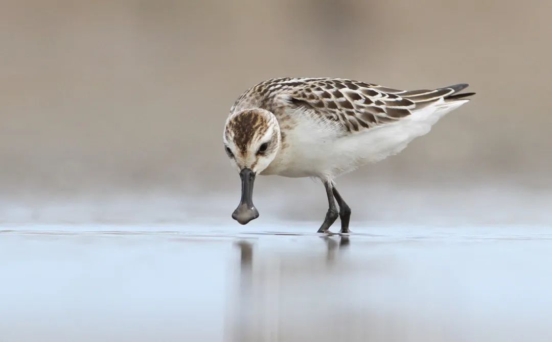 3fbce69c056cc3b048ff98bcc5ad96bb.jpg 3fbce69c056cc3b048ff98bcc5ad96bb.jpg