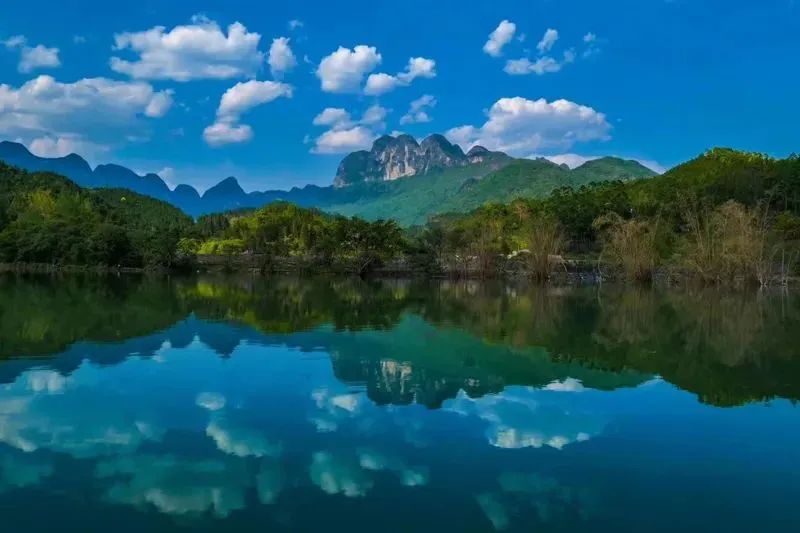 f55d0cb468ad6b76246dd3043918bcb0.jpg f55d0cb468ad6b76246dd3043918bcb0.jpg