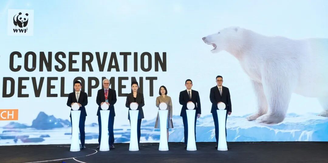 0827a106d91094dd3ca90d74225c0b8c.jpg 0827a106d91094dd3ca90d74225c0b8c.jpg