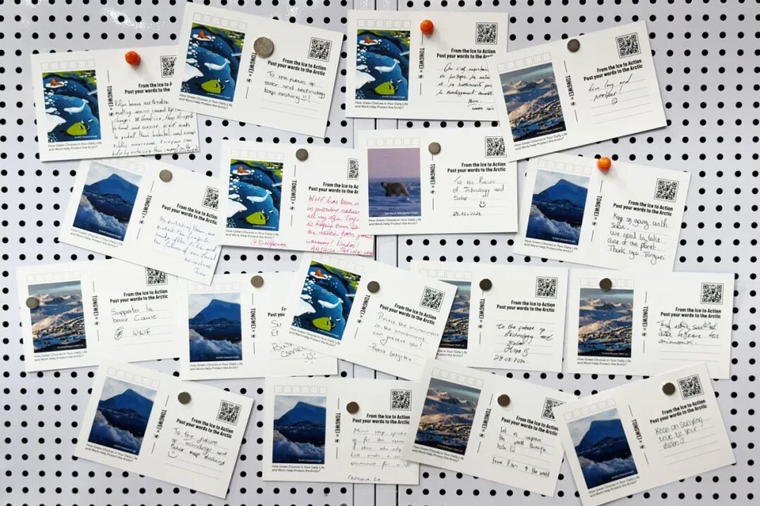 2ce6702c89c069f0a5e655a0abdcc401.jpg 2ce6702c89c069f0a5e655a0abdcc401.jpg